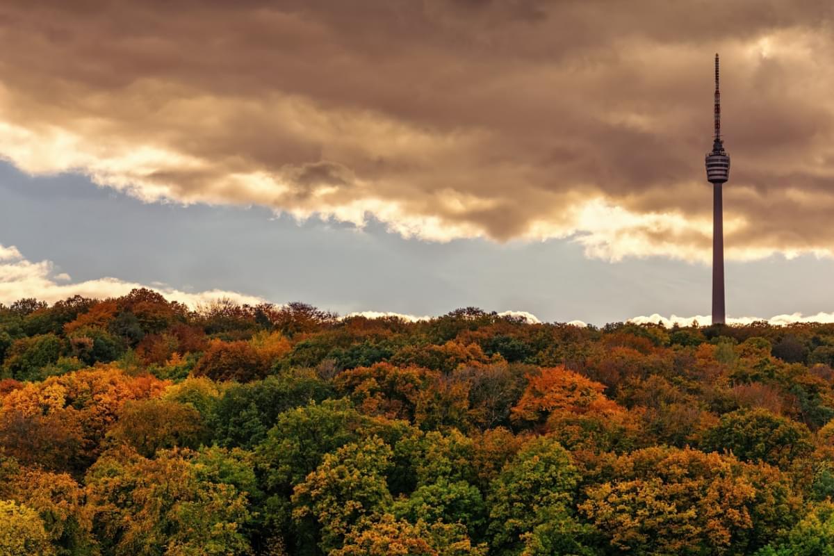 Fernsehturm tra gli alberi